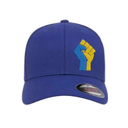 Ukraine fist side logo embroidered flexfit hat