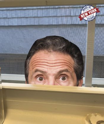 Andrew cuomo 7x6 inch peeping window sticker
